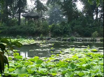 91精品国产自产在线老师啪