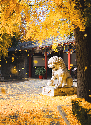 91精品国产自产在线老师啪